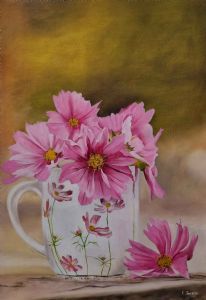 "Cosmos Flower"