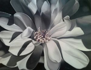 "Star Magnolia"