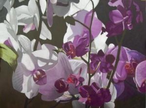 "650 Orchids"