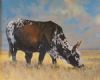 "Nguni in a landscape"