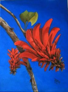 "Coral Tree Flower"