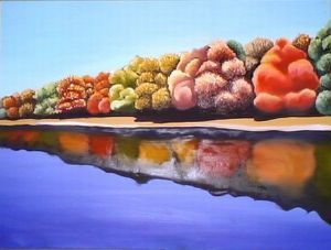 "A Splash Of Color"