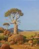 "Quiver Tree, Sentinel of Namaqualand"