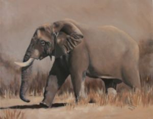 "Elephant"