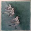 "Seagull in Waiting"