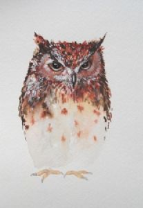 "Brown Owl"