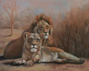 "Lazy Afternoon"