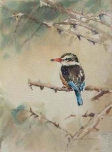 "Brown Hooded Kingfisher"