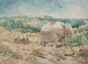 "Elephant and Young"