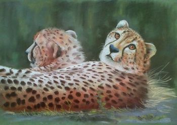 "Cheetah"