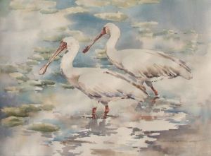 "Two African Spoonbills"