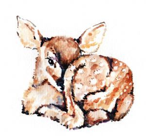 "Bambi"