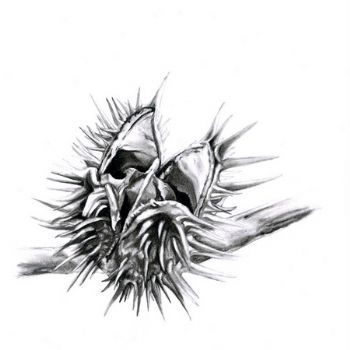 "Seed Pod 2"