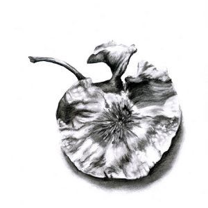 "Seed Pod 4"