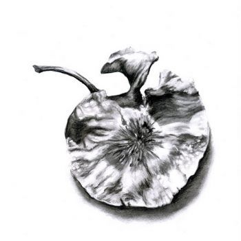 "Seed Pod 4"