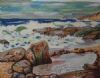 "My Rock Pool in Mossel Bay"