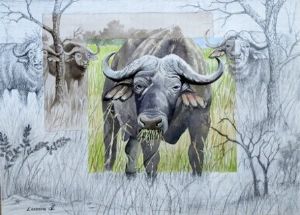 "Big Five - Buffalo"