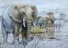 "Big Five - Elephants "