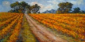 "Blaauwklippen Vineyards"