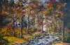 "Jonkershoek Water Stream"
