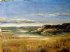 "Grassy Karoo "
