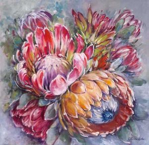 "Proteas VII"