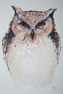 "Staring Owl"