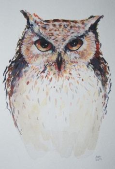 "Staring Owl"