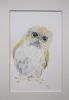 "Baby Owl"