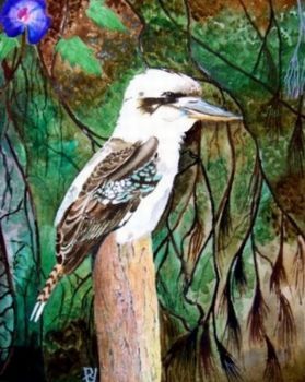 "Kookaburra"