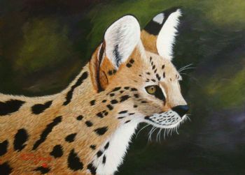 "Serval Cat"