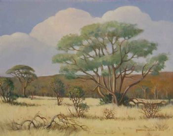 "Lowveld Scene with Bushwillow"