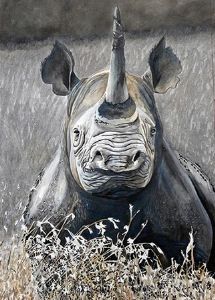 "Staring Extinction in the Face"