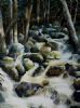 "Yosemite National Park"