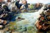 "Pond by the Sea"