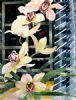 "Orchids III"