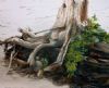 "Roots"