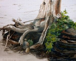 "Roots"