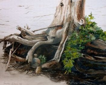 "Roots"