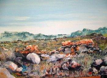 "Cedarberg Rocky Fynbos"