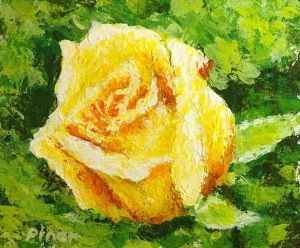 "Yellow Rose"
