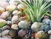"Rocks"