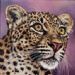 Leopard Portrait