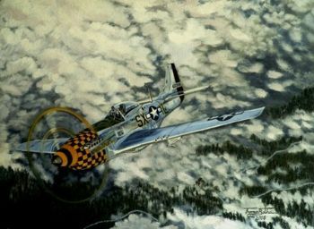 "P51 - Mustang 'Upupa Epops'"