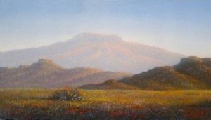 "Karoo in Bloom"