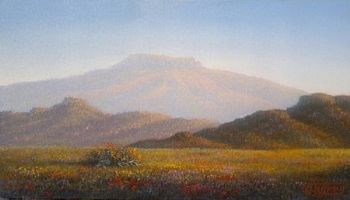 "Karoo in Bloom"
