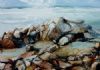 "Wildcoast IV"