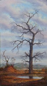 "Dry Tree Kruger Park"