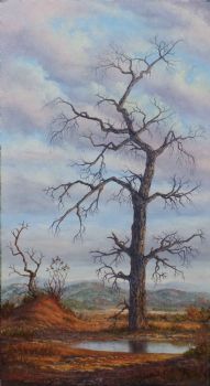 "Dry Tree Kruger Park"