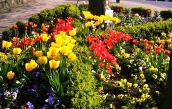 "Spring, Henley-on-Thames, UK"